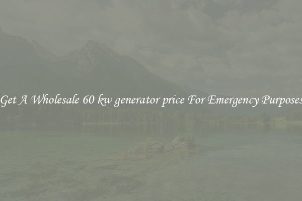 Get A Wholesale 60 kw generator price For Emergency Purposes