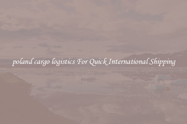 poland cargo logistics For Quick International Shipping