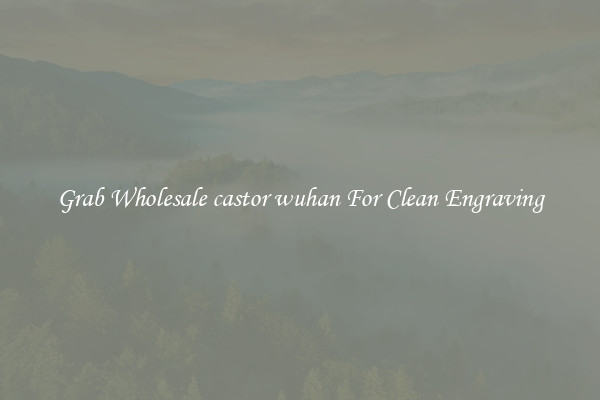 Grab Wholesale castor wuhan For Clean Engraving