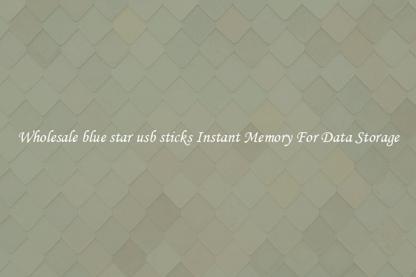 Wholesale blue star usb sticks Instant Memory For Data Storage