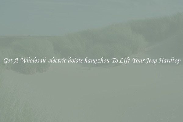 Get A Wholesale electric hoists hangzhou To Lift Your Jeep Hardtop