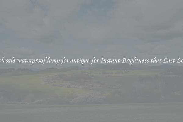 Wholesale waterproof lamp for antique for Instant Brightness that Last Longer