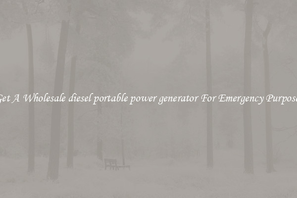 Get A Wholesale diesel portable power generator For Emergency Purposes