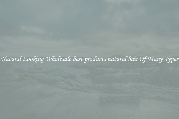 Natural Looking Wholesale best products natural hair Of Many Types