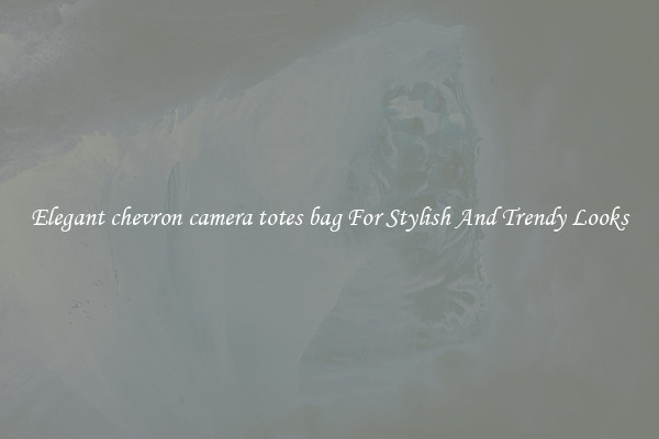 Elegant chevron camera totes bag For Stylish And Trendy Looks