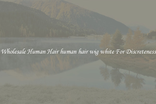 Wholesale Human Hair human hair wig white For Discreteness