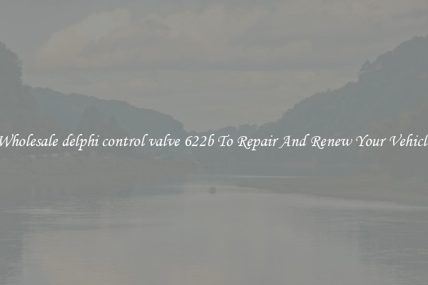 Wholesale delphi control valve 622b To Repair And Renew Your Vehicle