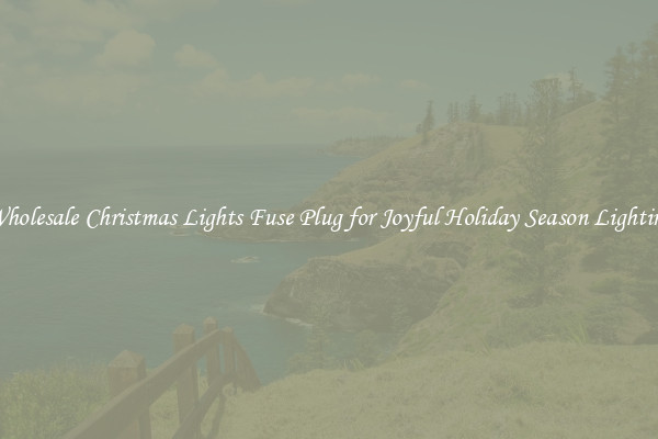 Wholesale Christmas Lights Fuse Plug for Joyful Holiday Season Lighting