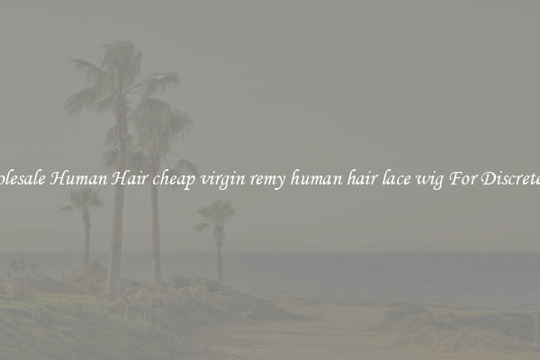 Wholesale Human Hair cheap virgin remy human hair lace wig For Discreteness