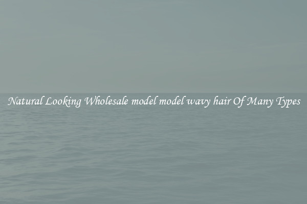 Natural Looking Wholesale model model wavy hair Of Many Types