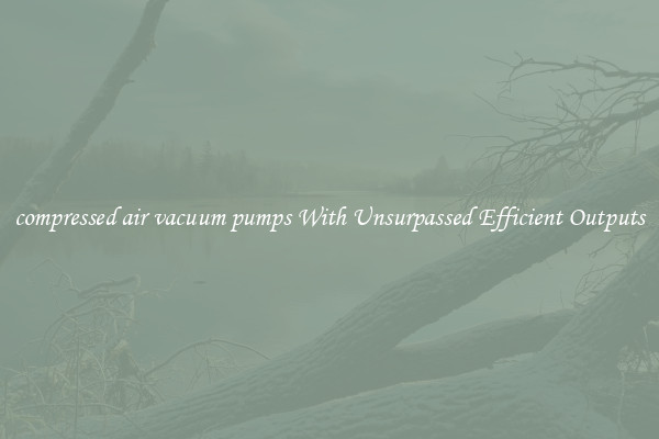 compressed air vacuum pumps With Unsurpassed Efficient Outputs