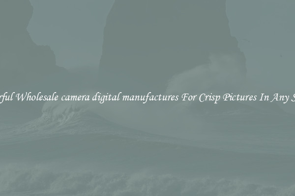 Powerful Wholesale camera digital manufactures For Crisp Pictures In Any Setting