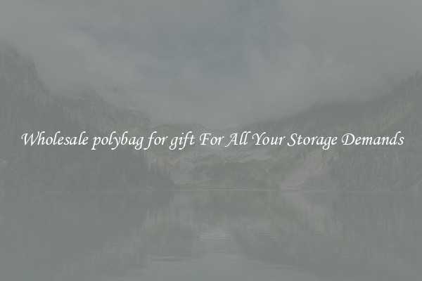 Wholesale polybag for gift For All Your Storage Demands