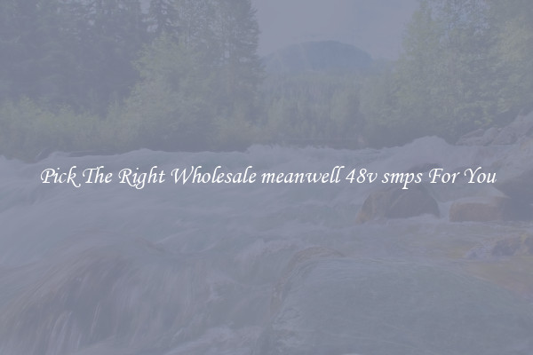 Pick The Right Wholesale meanwell 48v smps For You