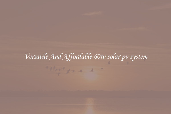 Versatile And Affordable 60w solar pv system