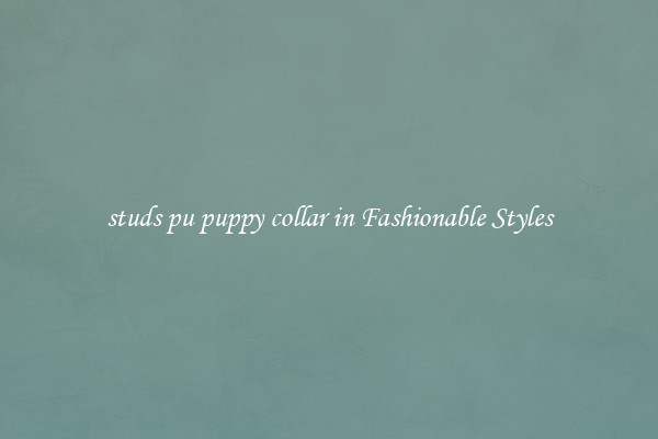 studs pu puppy collar in Fashionable Styles