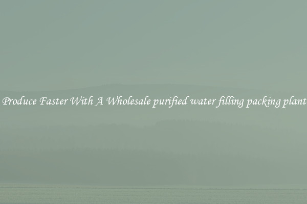 Produce Faster With A Wholesale purified water filling packing plant