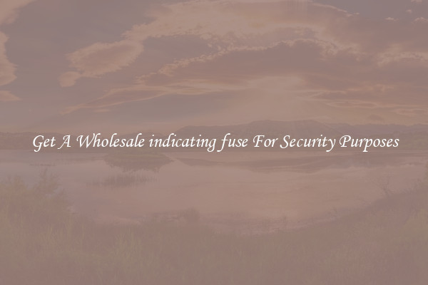 Get A Wholesale indicating fuse For Security Purposes