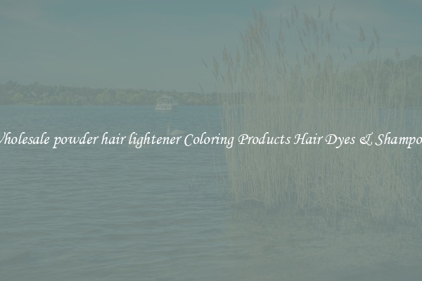 Wholesale powder hair lightener Coloring Products Hair Dyes & Shampoos