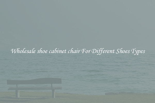 Wholesale shoe cabinet chair For Different Shoes Types