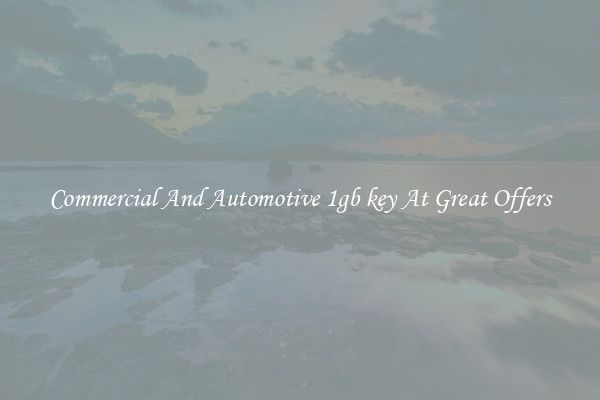 Commercial And Automotive 1gb key At Great Offers