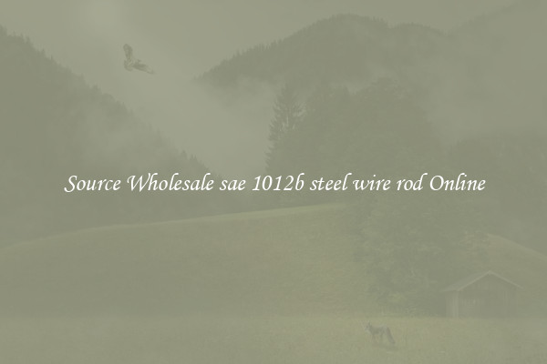 Source Wholesale sae 1012b steel wire rod Online