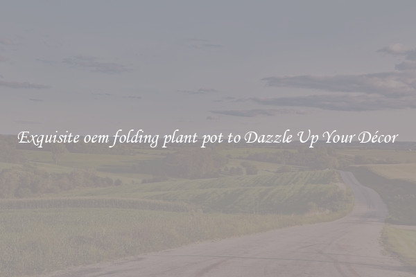 Exquisite oem folding plant pot to Dazzle Up Your Décor 
