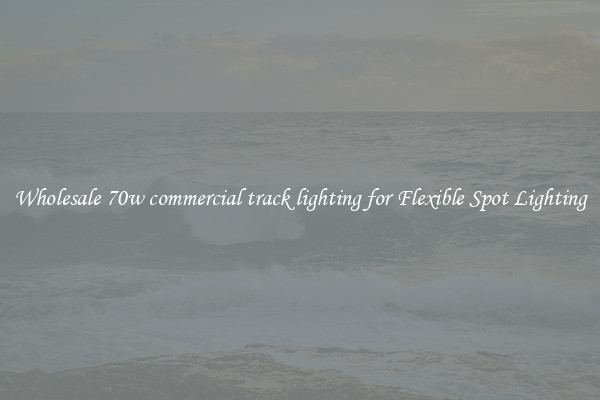 Wholesale 70w commercial track lighting for Flexible Spot Lighting