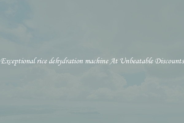 Exceptional rice dehydration machine At Unbeatable Discounts